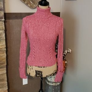 EXPRESS TURTLENECK SWEATER